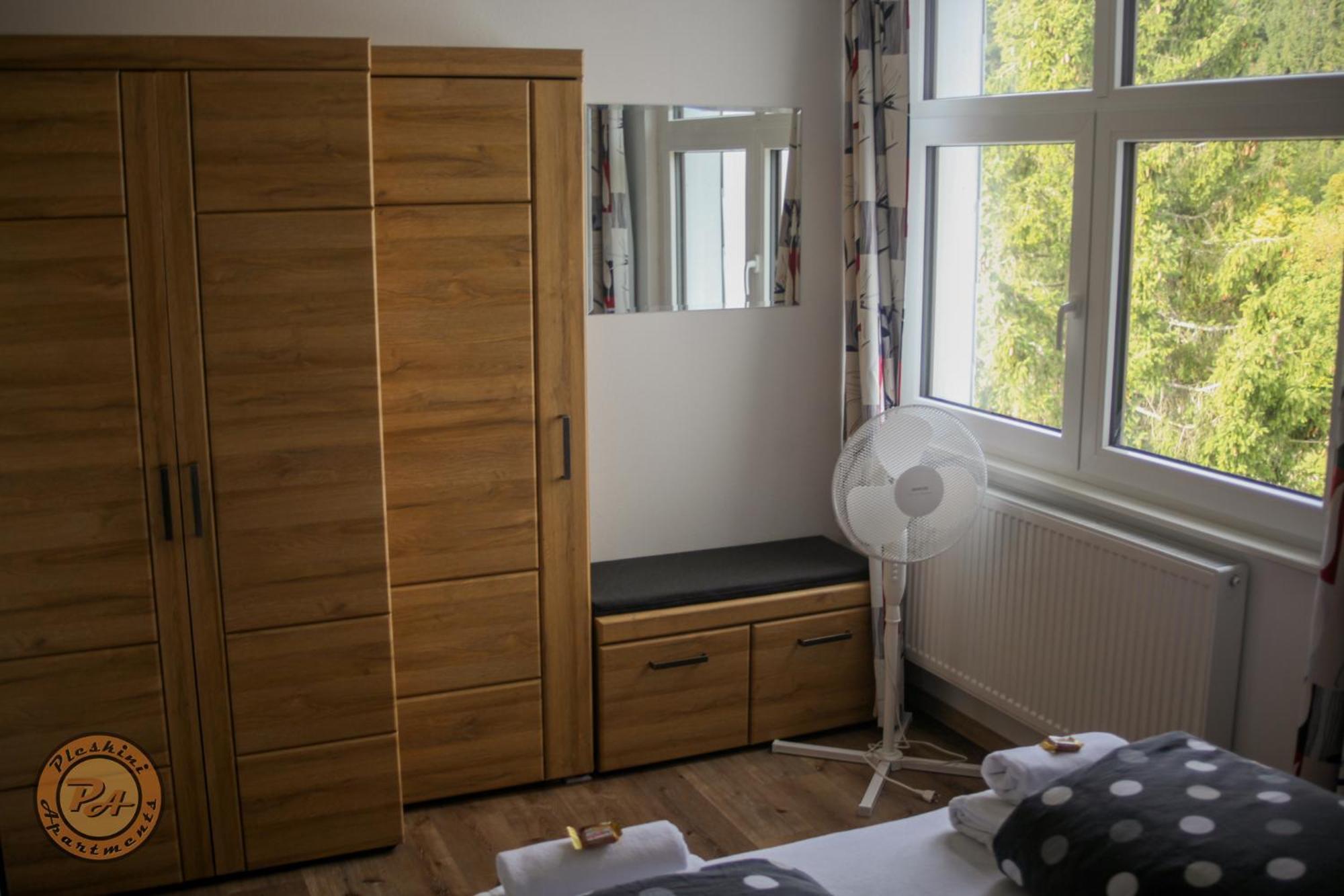 Pleskini Apartment Sankt Englmar Exterior photo